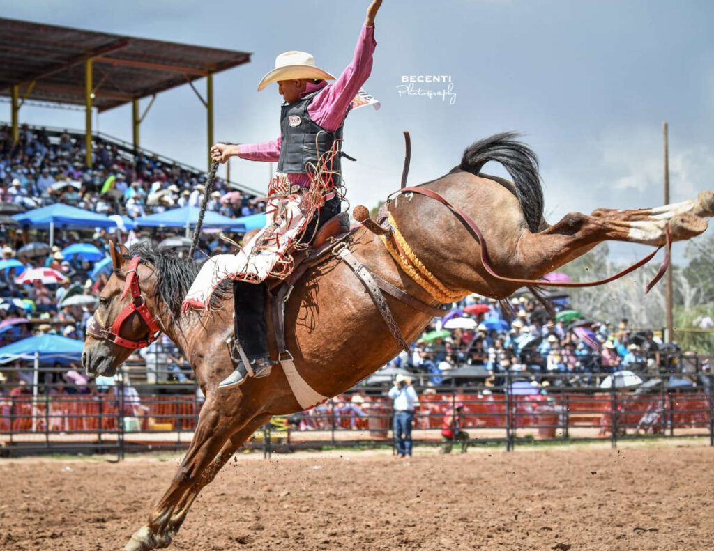 Navajo Ag Expo INFR Qualifier Takes on Window Rock, Arizona Cowboy