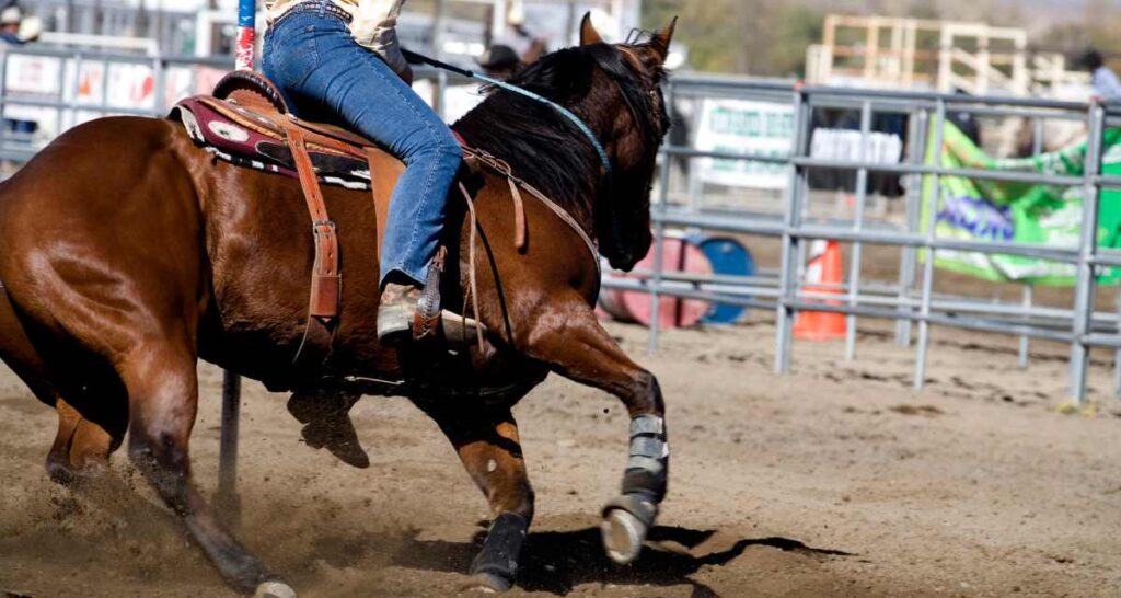 Cheer on the Young Athletes of Rodeo at the National Jr. High School