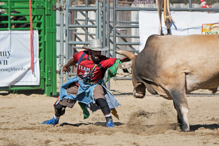 The Old Santa Ynez Days Rodeo is Coming to Town Cowboy Lifestyle Network