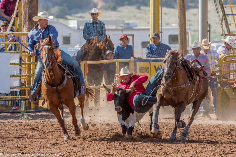 Celebrate the 4th of July at the Annual Navajo Nation Ag Expo & Rodeo!