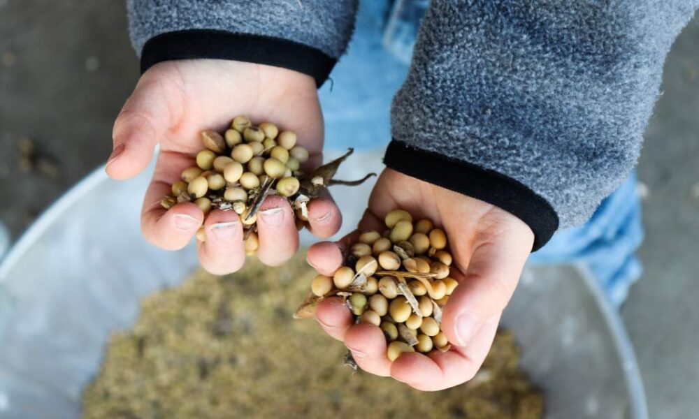 Average Rodeo Cowboy Earnings - Cowboy Lifestyle Network