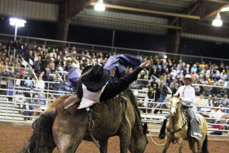 Visit Mesa Presents Horseshoe Park & Equestrian Centre Cowboy