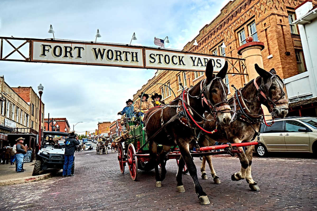 Red Steagall Cowboy Gathering at the Fort Worth Stockyards Cowboy