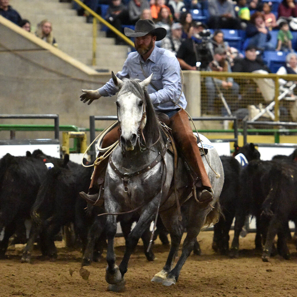 Photo Courtesy of National Western Stock Show