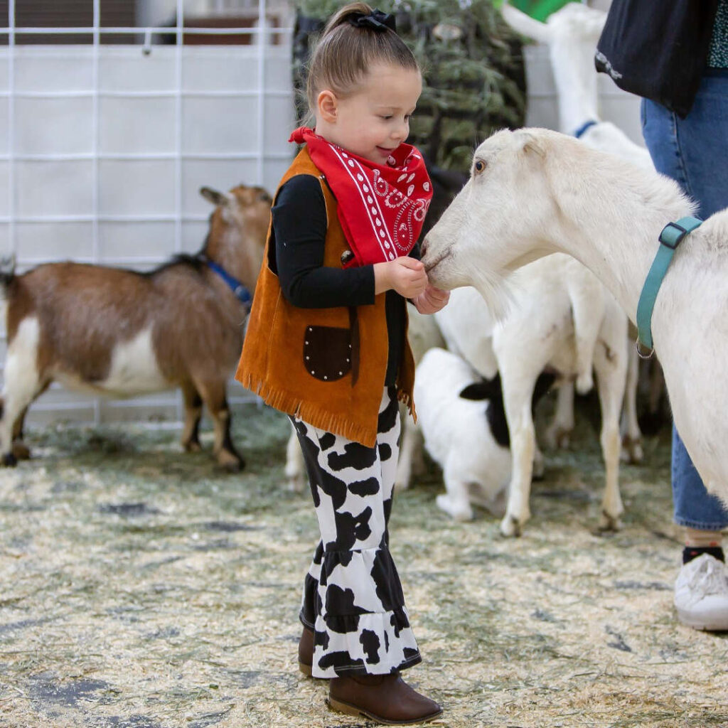 Photo Courtesy of National Western Stock Show