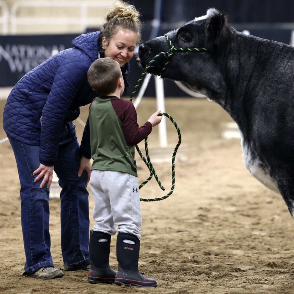 Photo Courtesy of National Western Stock Show