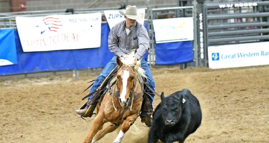 Champions rise to top at National Western Stock Show PBR Bull Riding