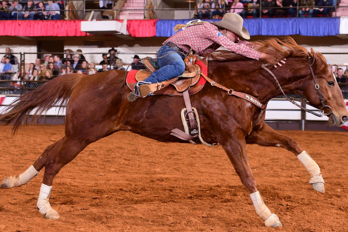 Running Rodeo Stock Fort Worth Stock Show & Rodeo 2024 - Cowboy Lifestyle Network