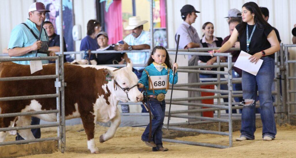 Credit: Rio Grande Valley Livestock Show