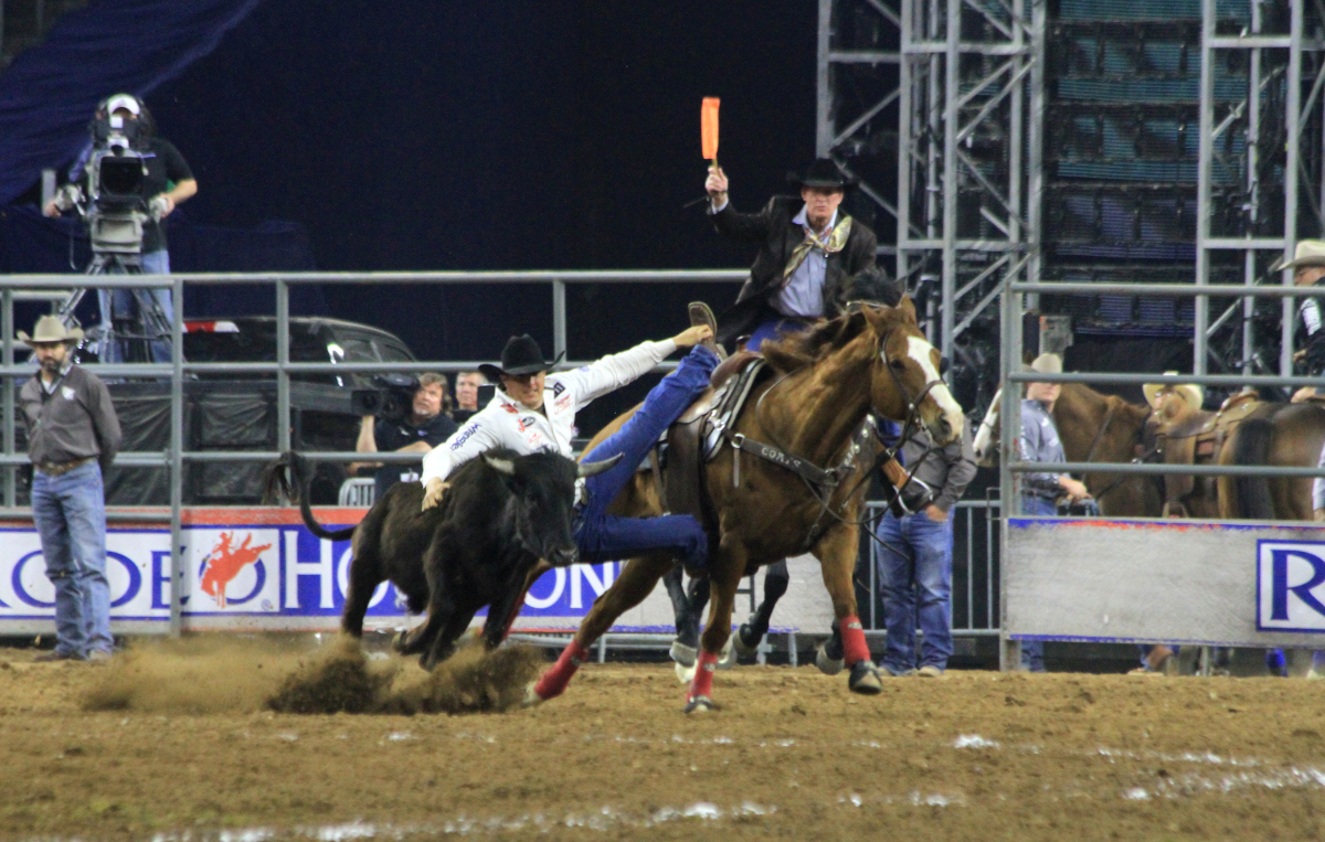 Fun Factory Rodeo Houston Houston Livestock Show and Rodeo 2024 - Cowboy Lifestyle Network
