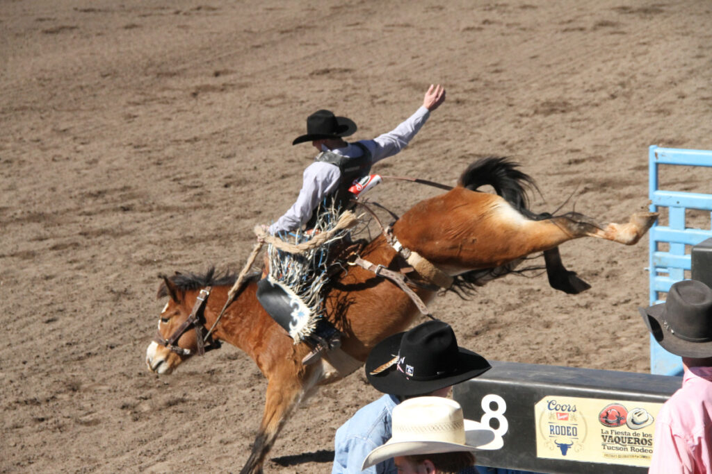 La Fiesta De Los Vaqueros Tucson Rodeo 2024 Cowboy Lifestyle Network   Tucson6 1024x683 