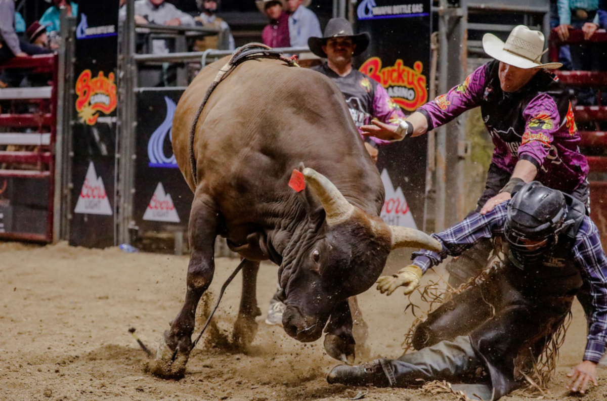 Mile High PBR Returns to Prescott Valley for Its 18th Year of Thrilling ...