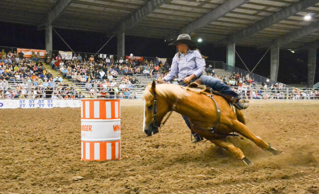 Credit: Rio Grande Valley Livestock Show