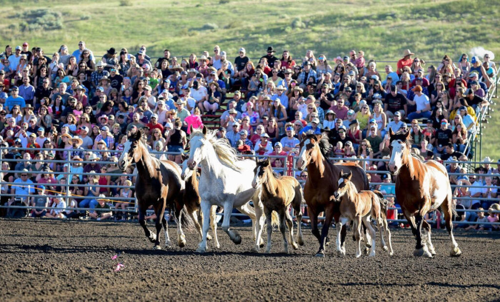 Credit: Robby Freeman Photography/Eagle Rodeo