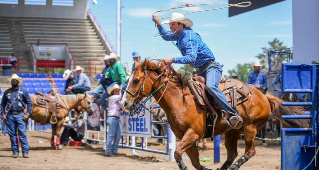 Cowboy roping