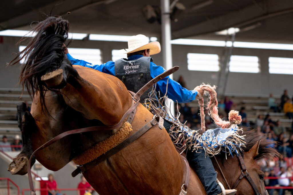 Credit: Greeley Stampede