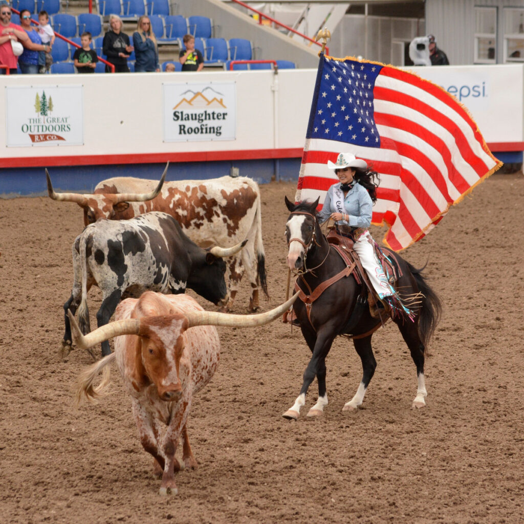 Rodeo queen pushing long horn steer