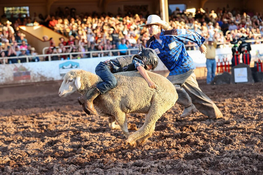 Credit: Pikes Peak or Bust Rodeo 