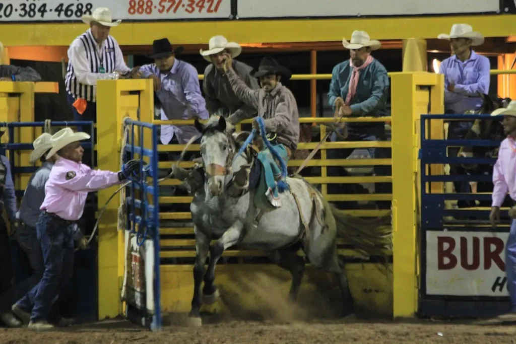 Photo Courtesy of Navajo County Fair & Rodeo