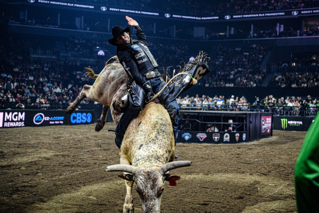 Photo Courtesy of PBR 