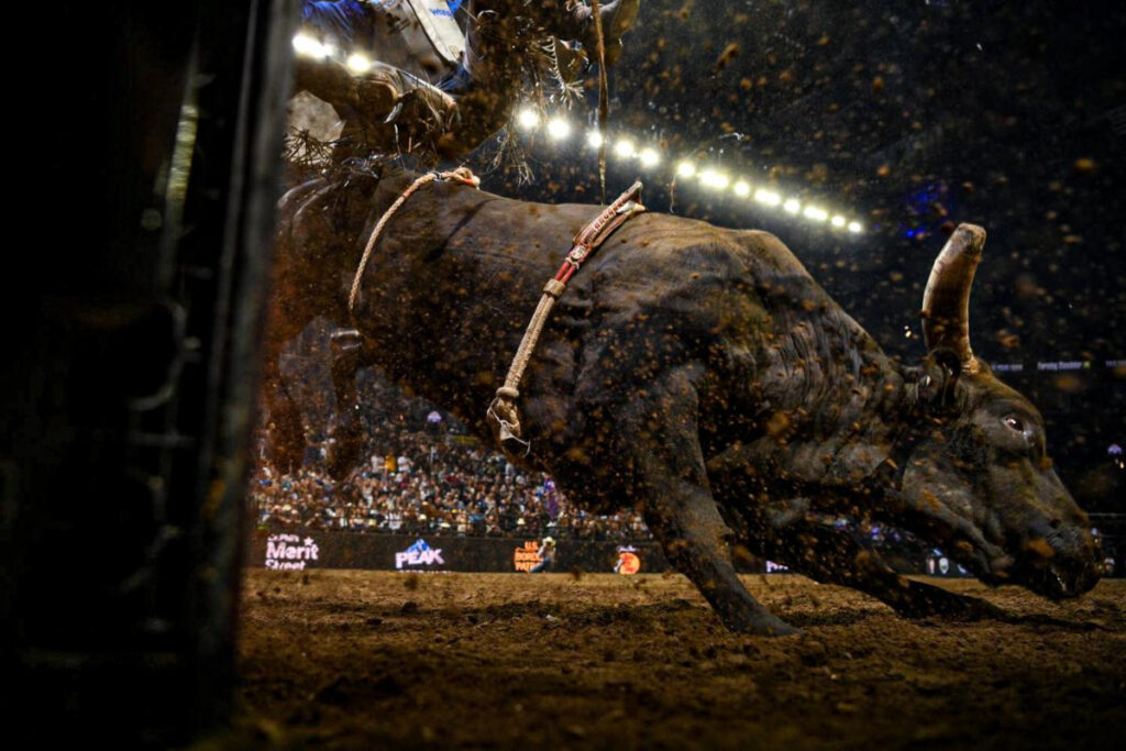 Photo Courtesy of PBR 