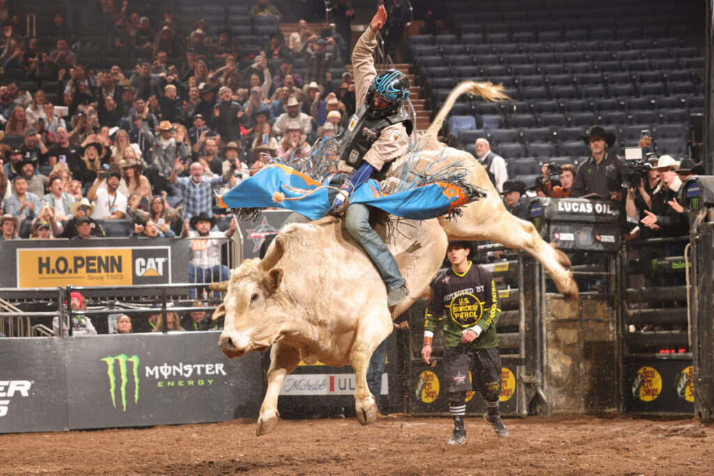 Credit: PBR/Bull Stock Media