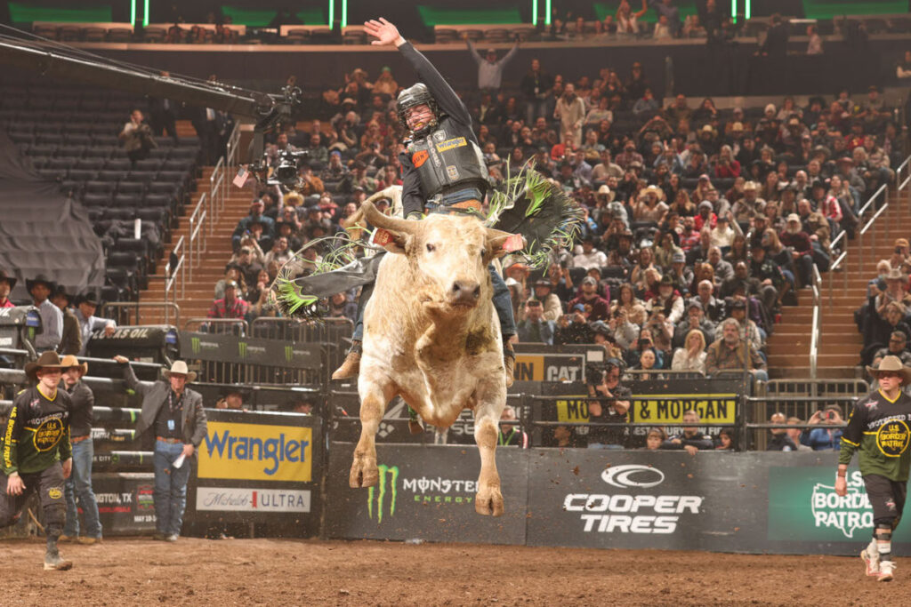 Credit: PBR/Bull Stock Media