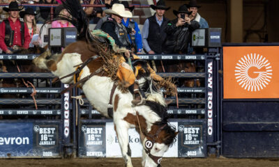 Last year’s National Western Stock Show saddle bronc riding champion Brody Cress is hoping for another title in the Denver Coliseum. Cress from Hillsdale, Wyoming, scored 84 points on The Cervi Brothers’ Fancy Frank at the first performance of the rodeo, Thursday, Jan. 16, 2025. NWSS photo by Ric Andersen.