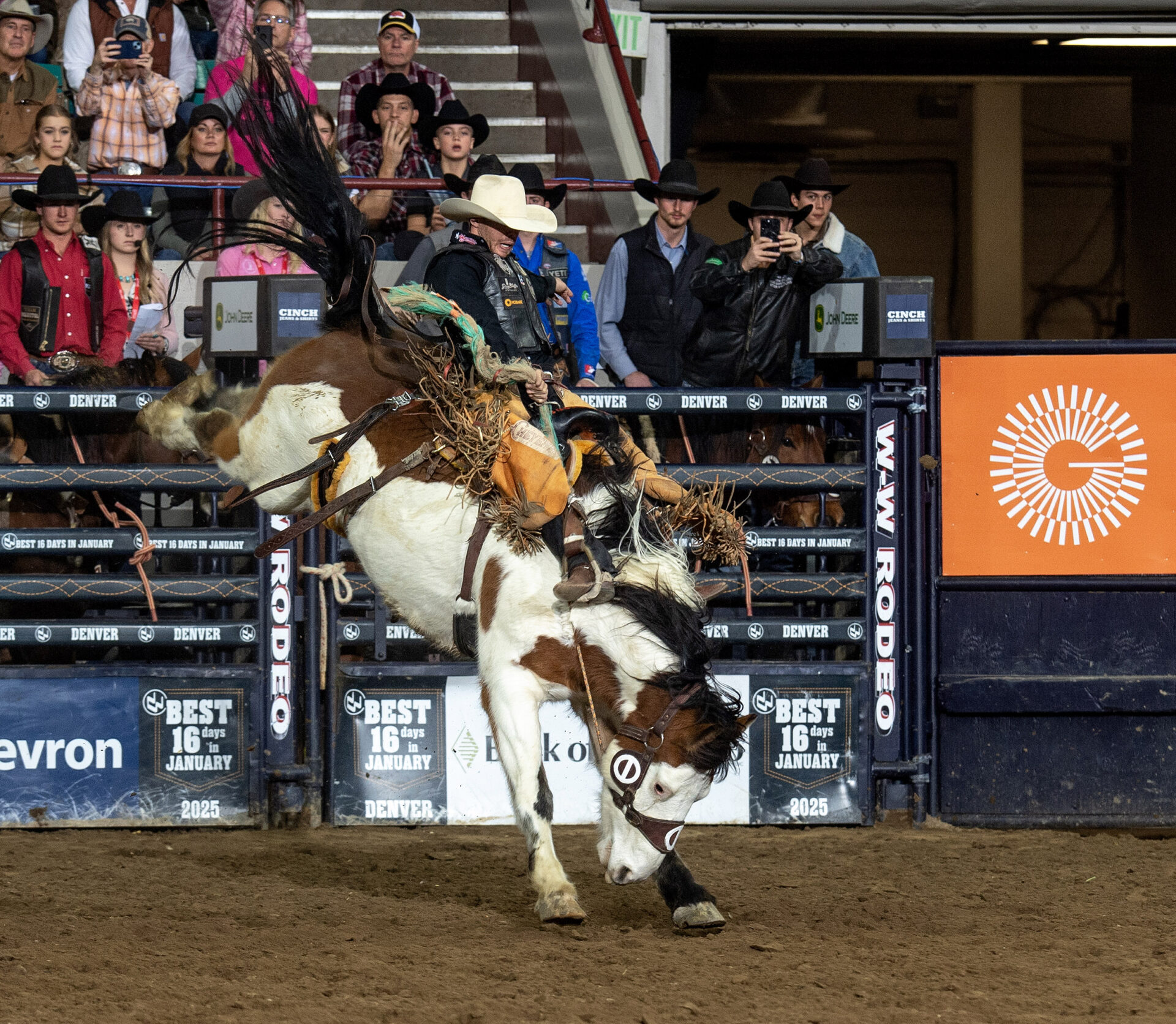 Last year’s National Western Stock Show saddle bronc riding champion Brody Cress is hoping for another title in the Denver Coliseum. Cress from Hillsdale, Wyoming, scored 84 points on The Cervi Brothers’ Fancy Frank at the first performance of the rodeo, Thursday, Jan. 16, 2025. NWSS photo by Ric Andersen.