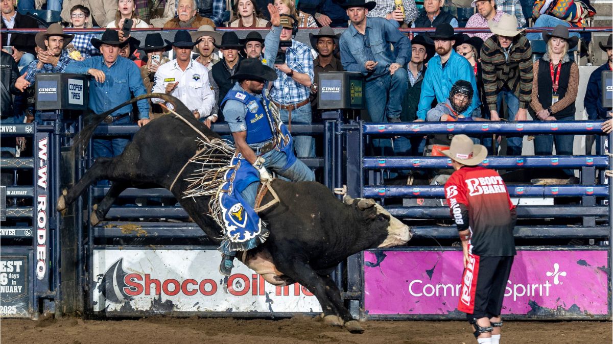 Alan de Souza from Taubate, Sao Paulo, Brazil was able to capitalize on every opportunity at the National Western Stock Show’s Denver Chute-Out bull riding. He was dialed in on the bull Dialed In scoring 84 points in the final round. Combined with his previous two scores, he had the highest total on three bulls at 239.5. He collected $19,980 in the Denver Coliseum. NWSS photo by Ric Andersen.