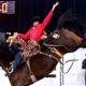 Saddle bronc ride Kade Bruno of Challis, Idaho, was the only contestant in Bracket 1of the Fort Worth Stock Show & Rodeo’s ProRodeo Tournament to win both rounds. He scored 87.5 points in each round, riding Brookman Rodeo’s Apollo for the second-round win on Saturday. FI