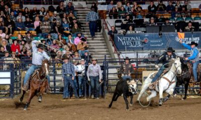 Carson and Kellan Johnson were the most successful team ropers in Bracket 5 at the National Western Stock Show Rodeo on Wednesday. The brothers from Casper, Wyoming had times of 5.1 and 5.0 seconds. Because of their success, they are advancing to the Semi-Finals in the Denver Coliseum on Saturday, Jan. 25. NWSS photo by Ric Andersen