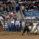 Carson and Kellan Johnson were the most successful team ropers in Bracket 5 at the National Western Stock Show Rodeo on Wednesday. The brothers from Casper, Wyoming had times of 5.1 and 5.0 seconds. Because of their success, they are advancing to the Semi-Finals in the Denver Coliseum on Saturday, Jan. 25. NWSS photo by Ric Andersen