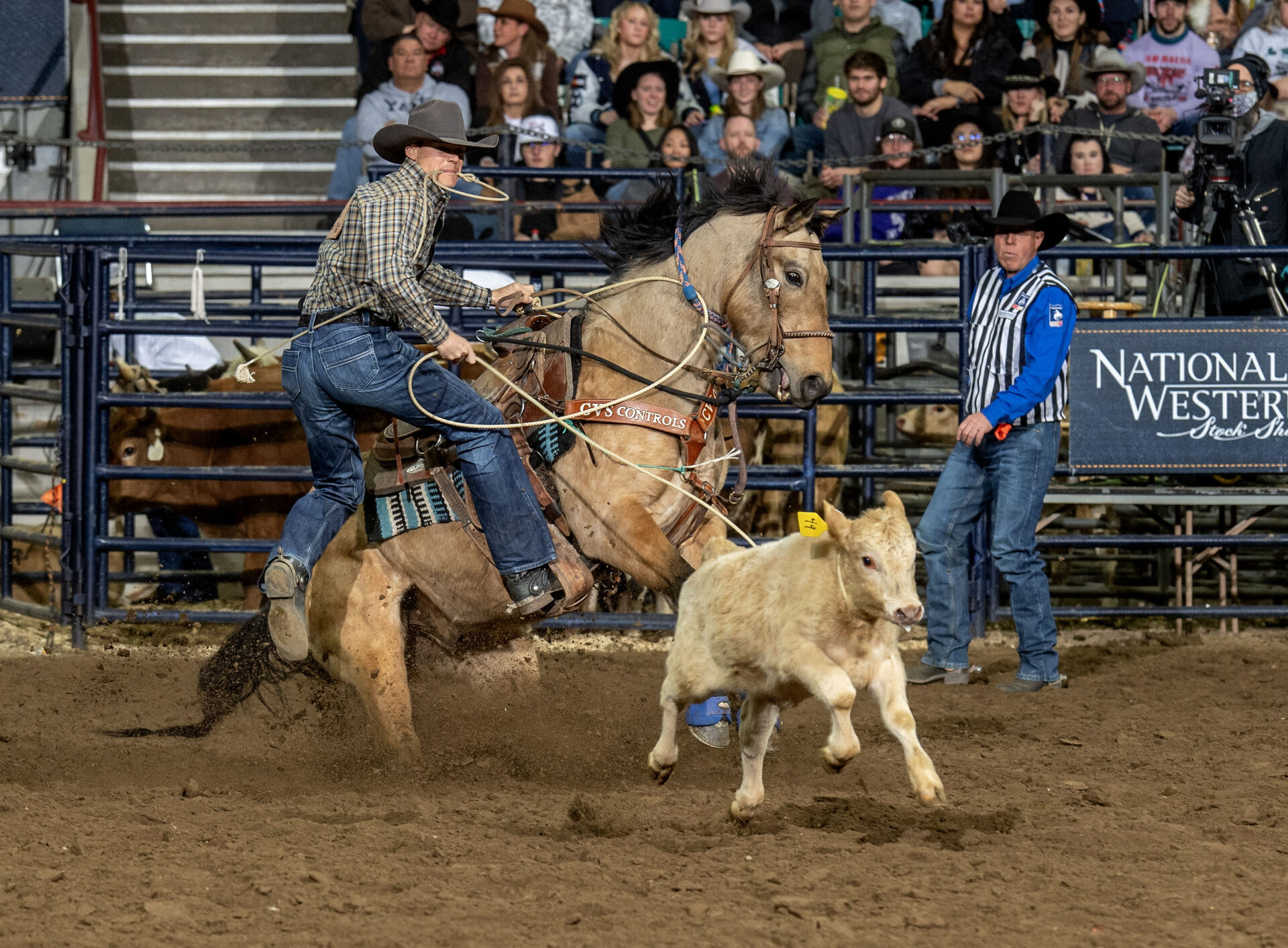 Stock Show Rodeo Competition heating up at National Western Stock Show Rodeo - Cowboy ...