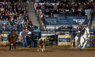 The newly formed team roping duo of Luke Brown and Trey Yates took care of business at the National Western Stock Show Rodeo on Monday, January 20. With Brown from Rock Hill, S.C., doing the heading and Yates from Pueblo, Colorado heeling, they stopped the clock in 4.7 seconds to lead the first round of bracket 5. NWSS photo by Ric Andersen