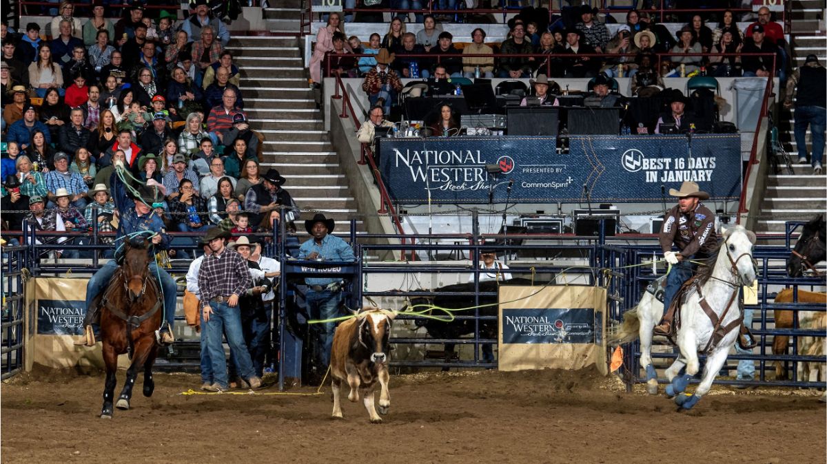 The newly formed team roping duo of Luke Brown and Trey Yates took care of business at the National Western Stock Show Rodeo on Monday, January 20. With Brown from Rock Hill, S.C., doing the heading and Yates from Pueblo, Colorado heeling, they stopped the clock in 4.7 seconds to lead the first round of bracket 5. NWSS photo by Ric Andersen