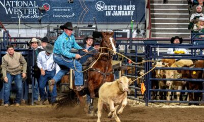 Ryan Jarrett of Comanche, Oklahoma came to the National Western Stock Show Rodeo ready to compete and show tie-down roping fans that he can still compete with the best. Jarrett, 41-years-old, is tied for the fastest time at this year’s rodeo. He stopped the clock in 7.5 seconds in round 2 of Bracket 5. Jarrett had the fastest total time in the bracket at 16.6 and will advance to the Semi-Finals. NWSS photo by Ric Andersen