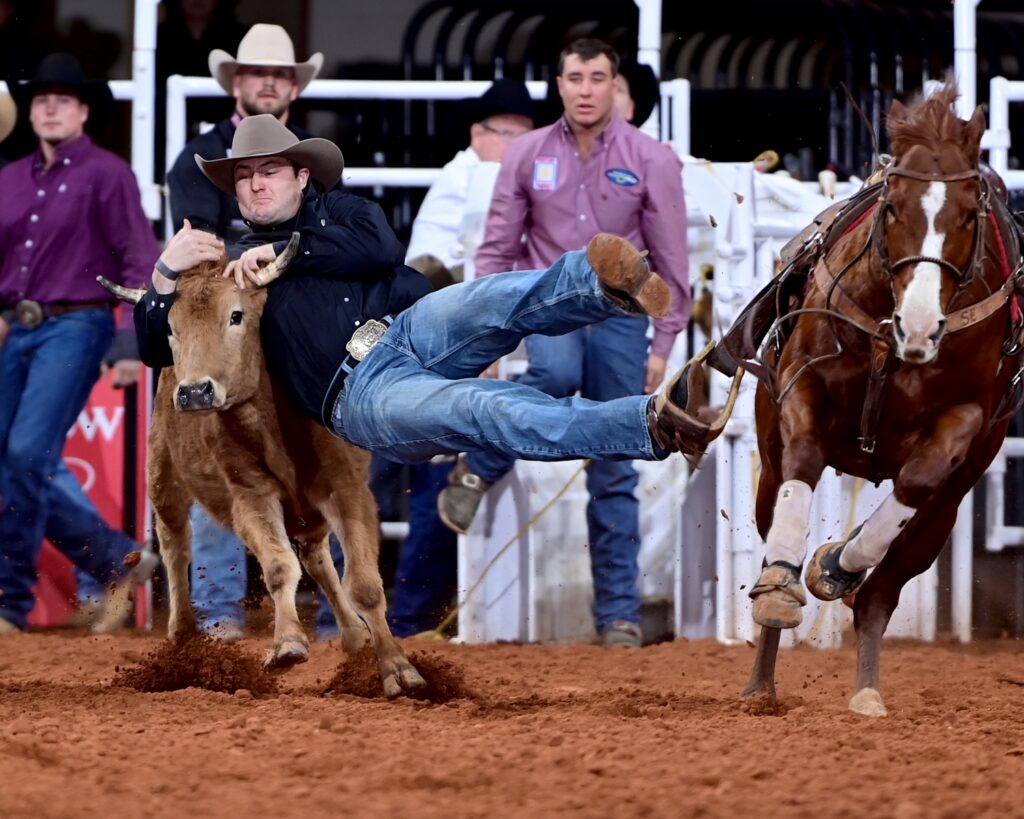 Sam Goings of Fallon, Nevada, qualified for Fort Worth’s ProRodeo Tournament by winning the Ellis County Fair & Rodeo in Waxahachie, Texas, and wrestled this steer in 3.8 seconds to split first with former world champion Ty Erickson in round one of Bracket 1. FWSSR photo by James Phifer
