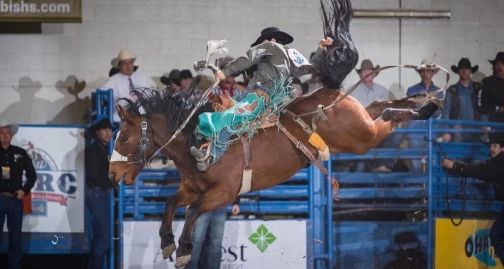 Montana Pro Rodeo Circuit Finals 2025 - Cowboy Lifestyle Network