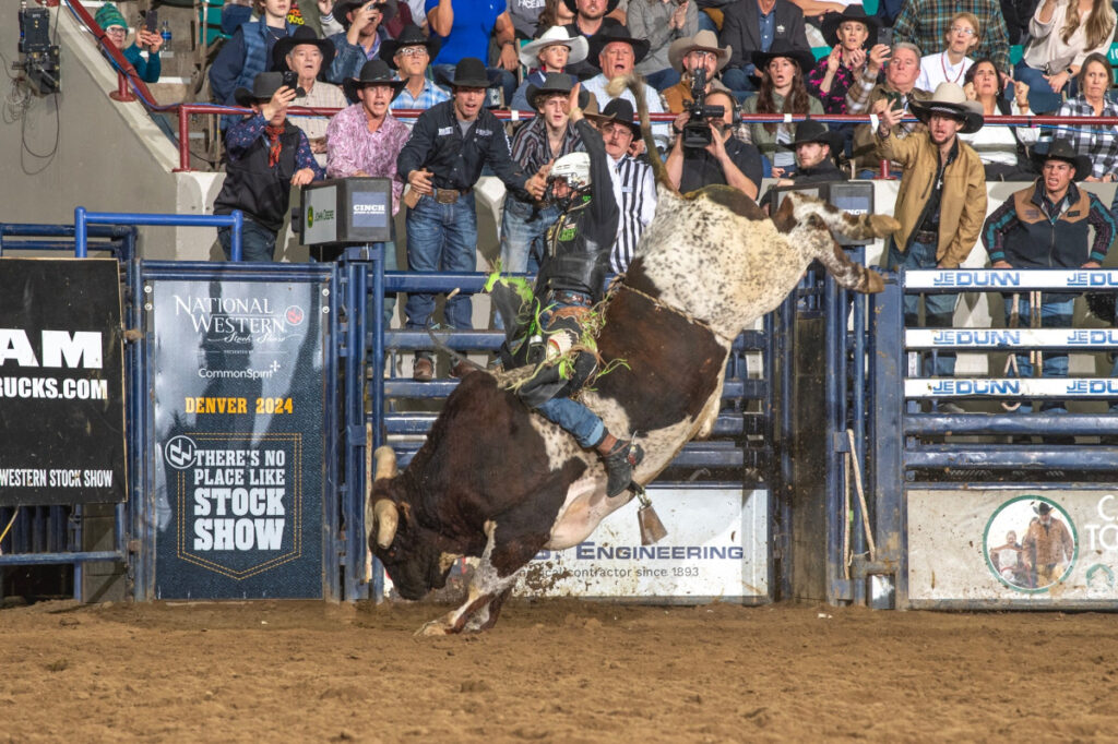 Photo Courtesy of National Western Stock Show