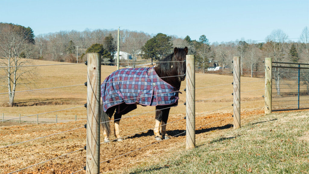 Cameo Horse Fencing offers the ultimate solution.