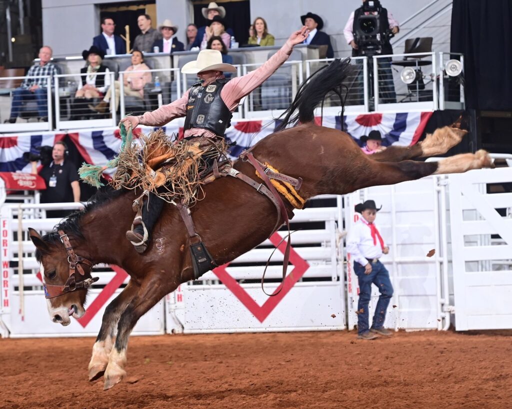 The Fort Worth Stock Show & Rodeo ProRodeo Tournament is looking good for saddle bronc rider Brody Cress. The eight-time Wrangler National Finals Rodeo qualifier had the high-marked ride in round one of Bracket 3 with a 90.5-point score on Dakota Rodeo’s Smarty Pants. FWSSR photo by James Phifer