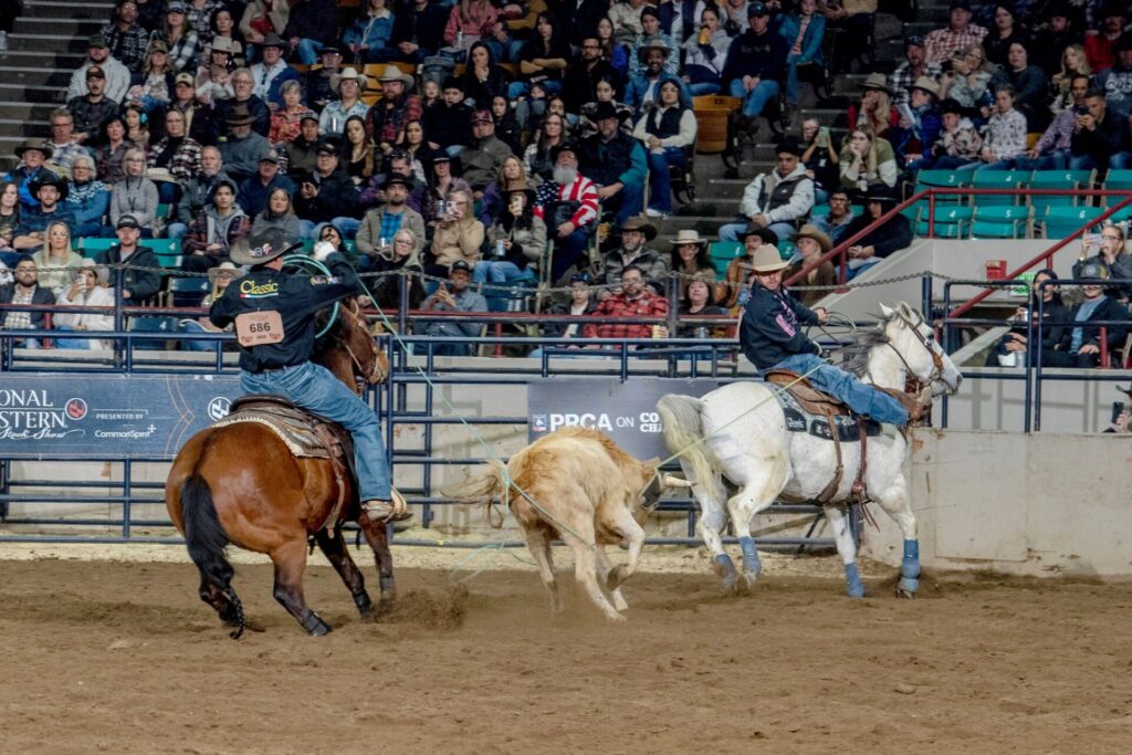 National Finals Rodeo veterans Luke Brown of Rock Hill, South Carolina, and Trey Yates of Pueblo roped this steer in 4.4 seconds to win the team roping Championship at the National Western Stock Show Rodeo January 26 at Denver Coliseum. Yates has a multi-generation history with the 119-year-old Denver tradition. NWSS photo by Ric Andersen