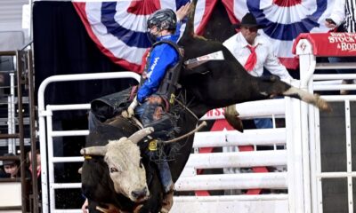 Maverick Potter from Waxahachie, Texas, was the only bull rider at the Fort Worth Stock Show & Rodeo’s ProRodeo Tournament to have four successful rides. His biggest came at the Championship Finals on Saturday night in Dickies Arena when he scored 89.5 points on Sutton Rodeo’s Mr. Demon for the title. He earned a total of $30,333 during this year’s competition. FWSSR photo by James Phifer