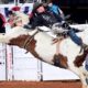 The 2021 National High School Finals Rodeo all-around champion is having success at the Fort Worth Stock Show Rodeo’s ProRodeo Tournament. Sam Petersen from Helena, Montana, had the high marked ride in Bracket 7 with 86.5 points on Generation Pro Rodeo’s horse named Mini Pearl. FWSSR photo by James Phifer.