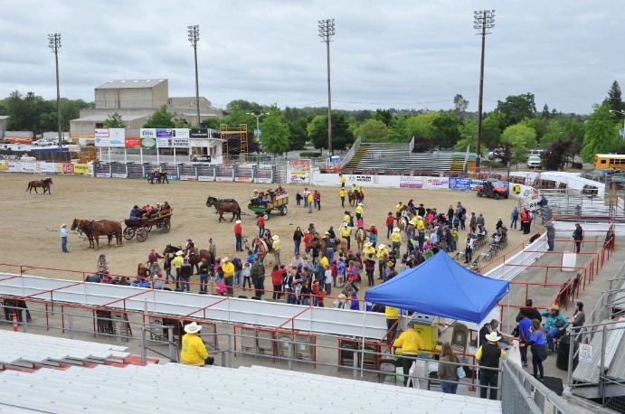 Photo Courtesy of Redding Rodeo