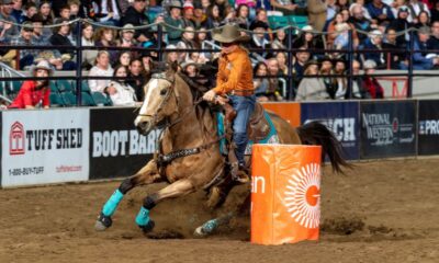 Riding her great mare Bucky Wonder Horse, “Bee,” Shelley Morgan won the barrel racing in Bracket 8 at the National Western Stock Show Rodeo. She and Bee stopped the clock in 14.74 seconds during the matinee performance, then came back Friday night with a 14.70. Her total of 29.44 has her coming back to Saturday’s Semi-Finals hoping for more success and an advancement to Sunday’s Championship Finals. NWSS photo by Ric Andersen.