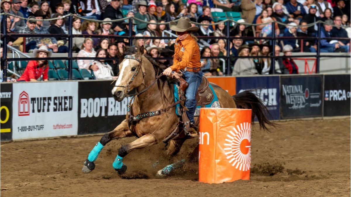 Riding her great mare Bucky Wonder Horse, “Bee,” Shelley Morgan won the barrel racing in Bracket 8 at the National Western Stock Show Rodeo. She and Bee stopped the clock in 14.74 seconds during the matinee performance, then came back Friday night with a 14.70. Her total of 29.44 has her coming back to Saturday’s Semi-Finals hoping for more success and an advancement to Sunday’s Championship Finals. NWSS photo by Ric Andersen.