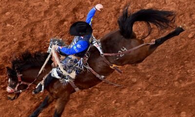 Statler Wright is hoping to be the next member of his famous saddle bronc riding family to win a title at the Fort Worth Stock Show & Rodeo (FWSSR). After having the high score in round one of Bracket 5, he rode again on Saturday morning and scored 87 points on Calgary Stampede’s Zorta Proud. He will return to Dickies Arena for the Semi-Finals of the FWSSR ProRodeo Tournament. FWSSR photo by James Phifer.