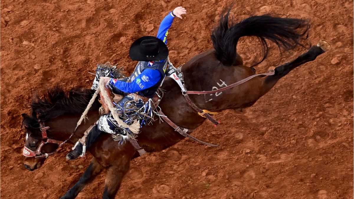 Statler Wright is hoping to be the next member of his famous saddle bronc riding family to win a title at the Fort Worth Stock Show & Rodeo (FWSSR). After having the high score in round one of Bracket 5, he rode again on Saturday morning and scored 87 points on Calgary Stampede’s Zorta Proud. He will return to Dickies Arena for the Semi-Finals of the FWSSR ProRodeo Tournament. FWSSR photo by James Phifer.